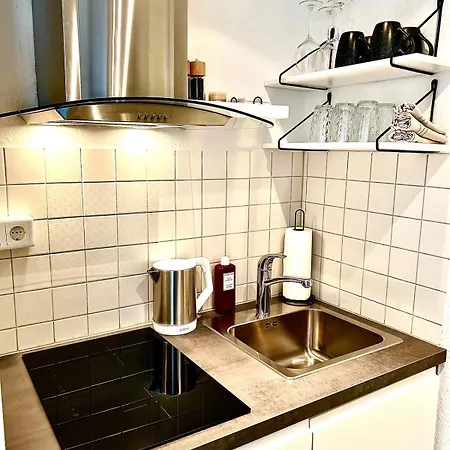 City-apartment Mit Rheinblick *